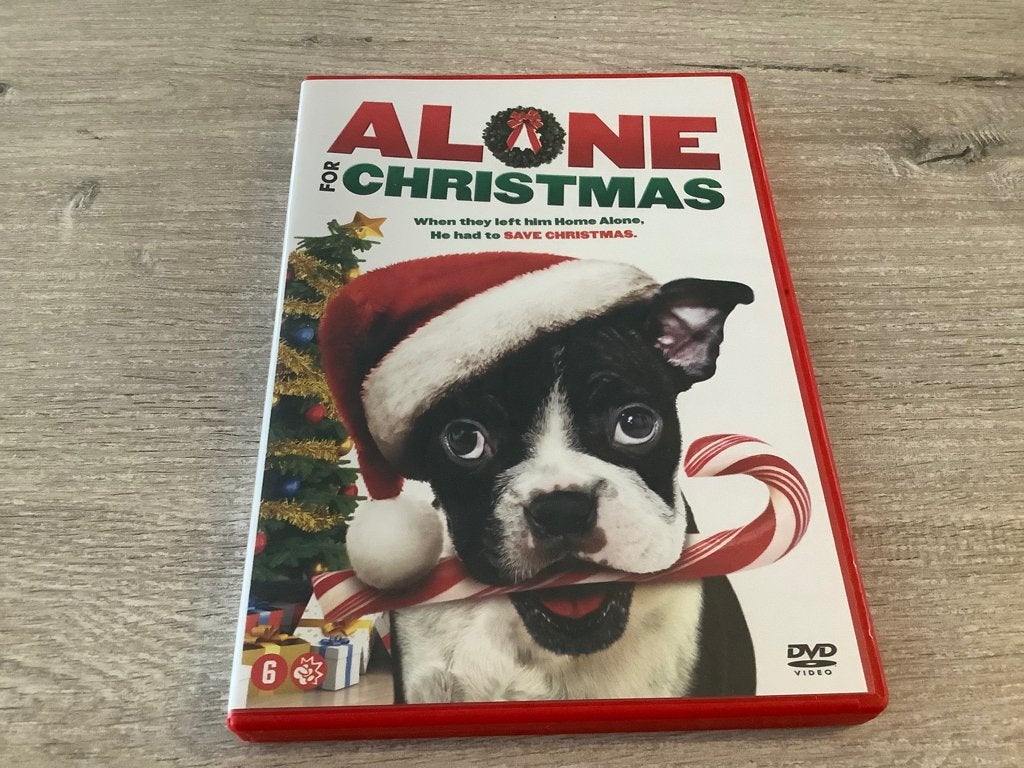 DVD Seul pour Noël (2013), CD & DVD, Enlèvement ou Envoi, Anglais, Classique, Néerlandais