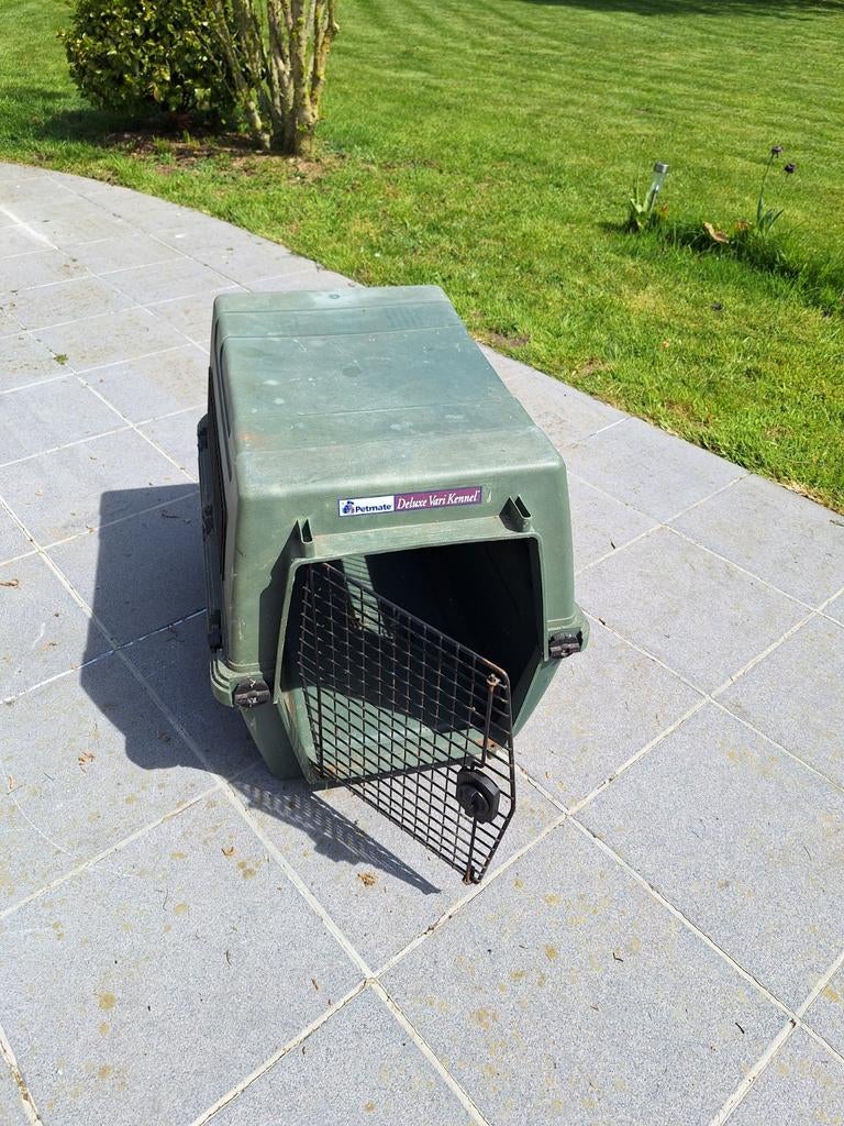 hondenkennel, Enlèvement