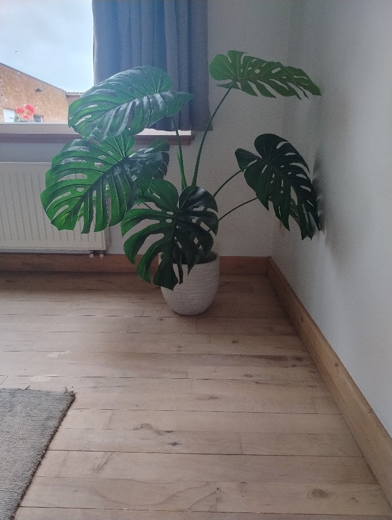 Valse plant, Huis en Inrichting, Ophalen