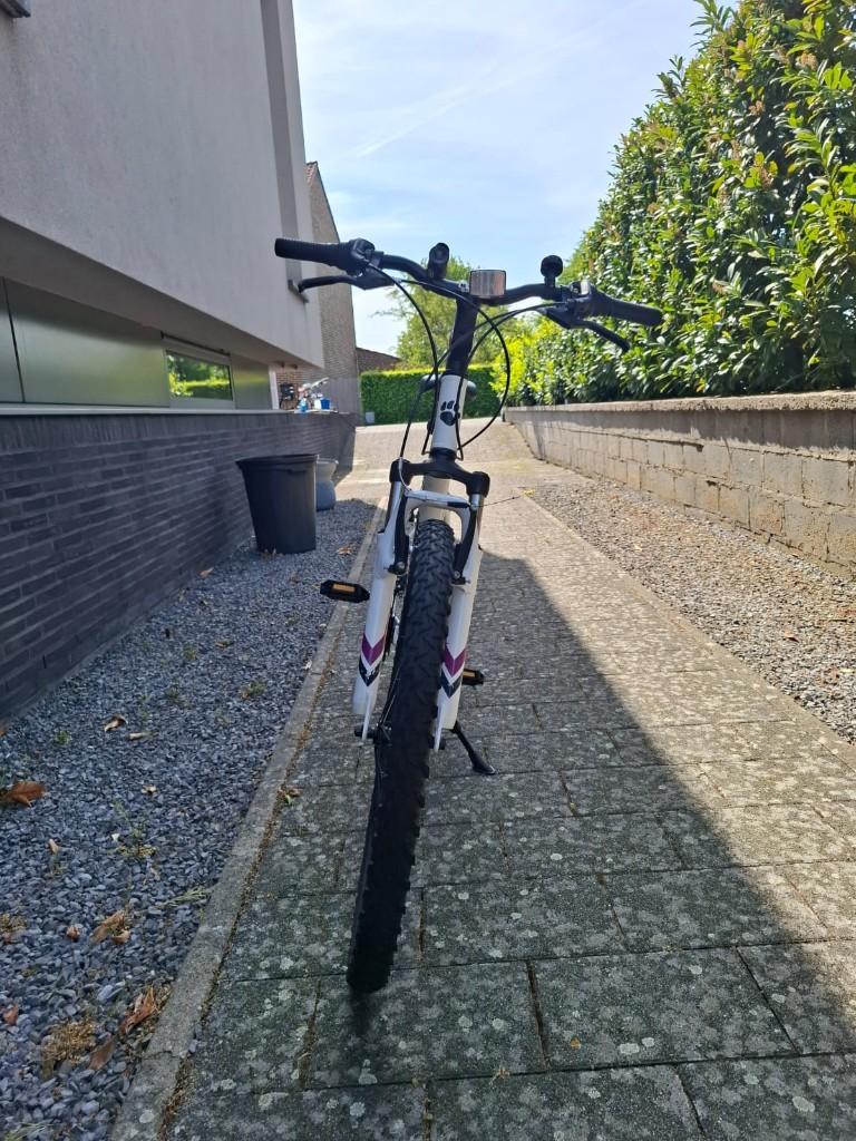 Mountainbikefiets voor meisje/jongen maat 26, Fietsen en Brommers, Fietsen | Meisjes, Gebruikt, Velgrem, Versnellingen, Muddyfox