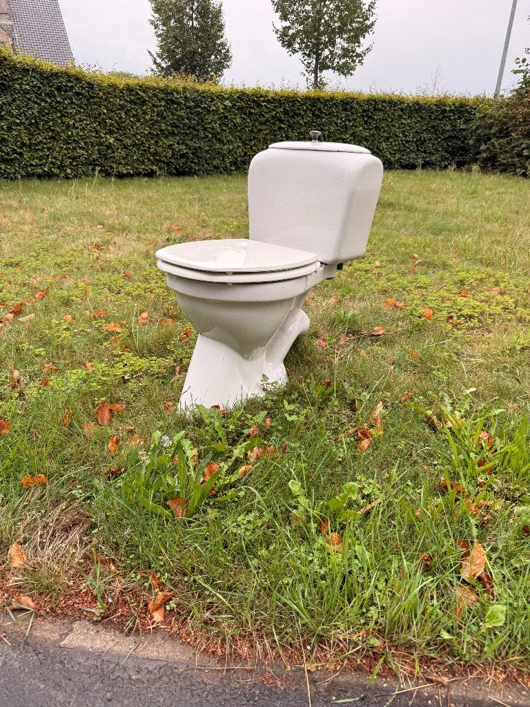 Toilet, Ophalen, Gebruikt, Steen, Toilet