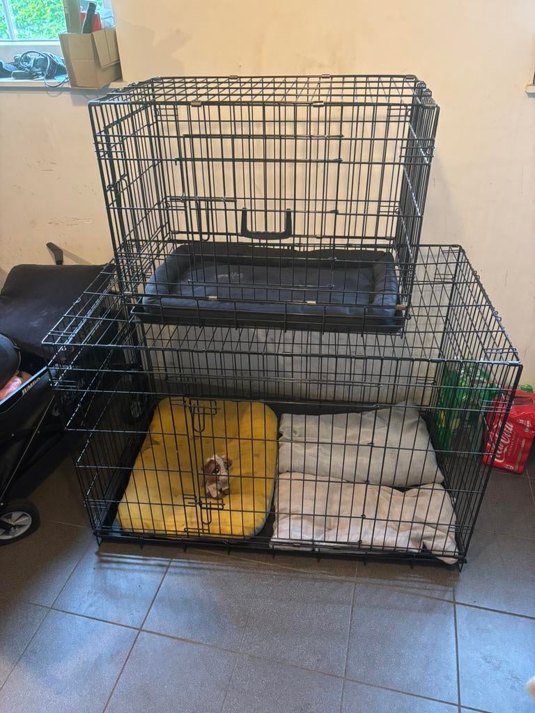Honden bench, Dieren en Toebehoren, Ophalen, Zo goed als nieuw