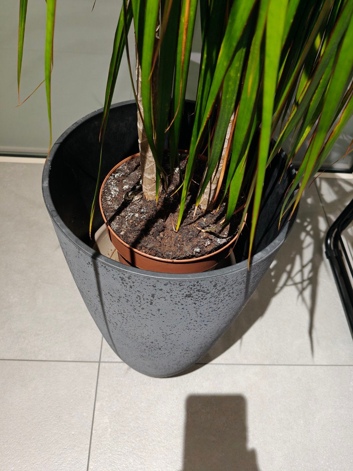 pot de fleurs, couleur Anthracite, Jardin & Terrasse, Rond, Comme neuf, Enlèvement, Intérieur