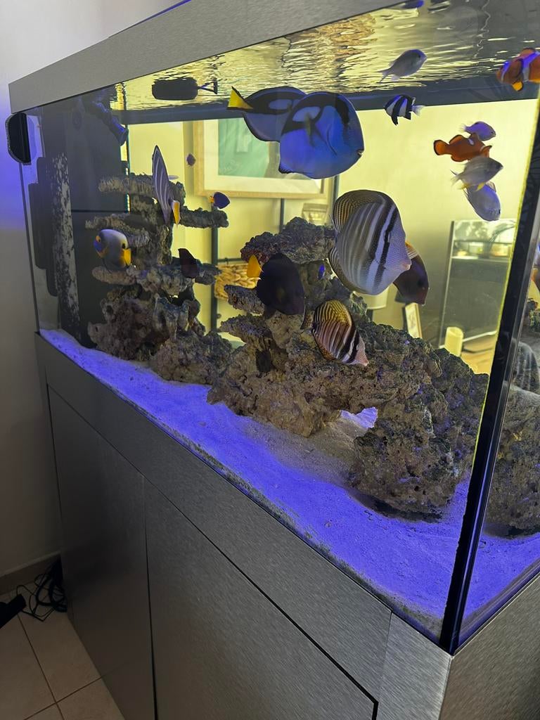 Defish zeewater aquarium Peninsula 500liter, Ophalen, Gebruikt, Leeg aquarium, Overige merken