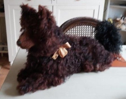 pyjama pour chien, Antiquités & Art, Enlèvement