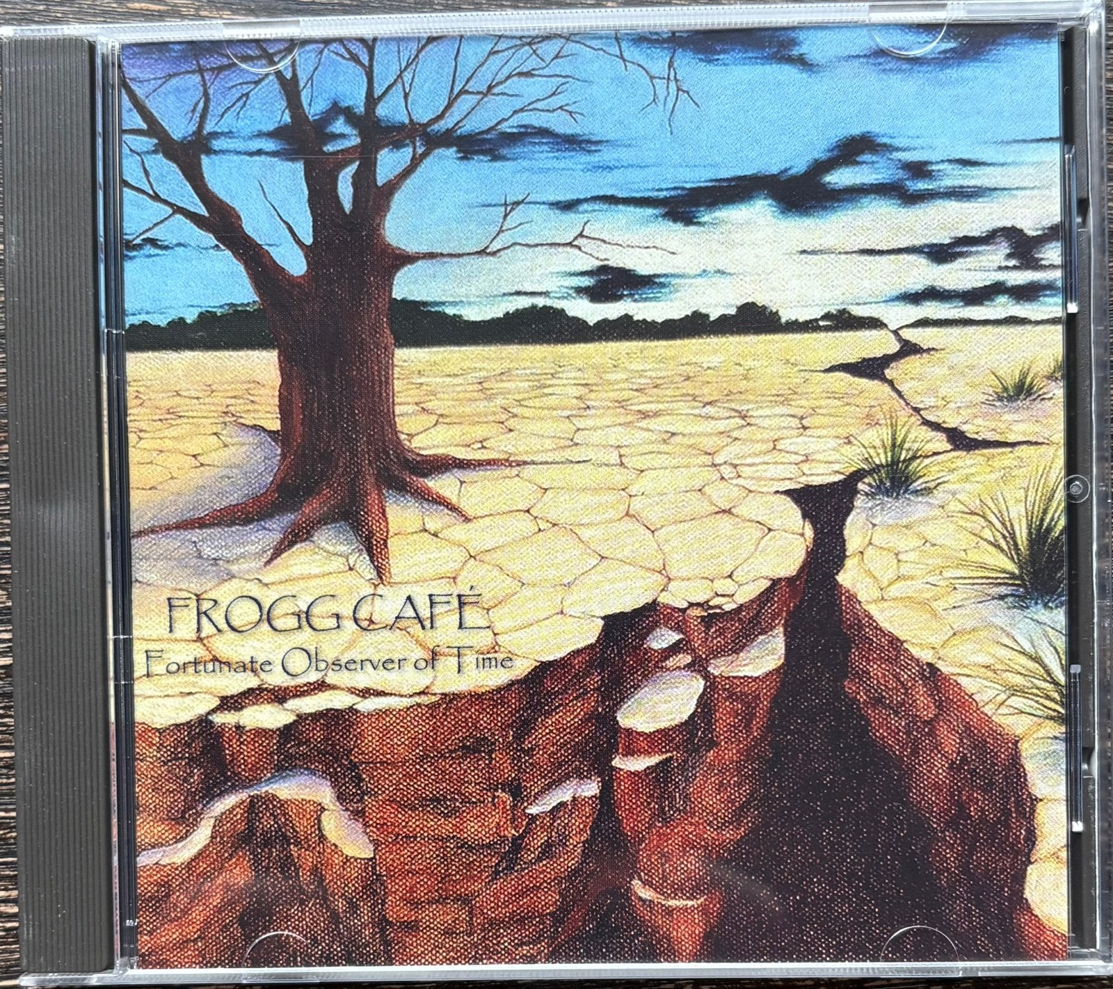 FROGG CAFE - Fortunate Observer Of Time, CD & DVD, CD | Rock, Enlèvement ou Envoi, Comme neuf, Rock progressif