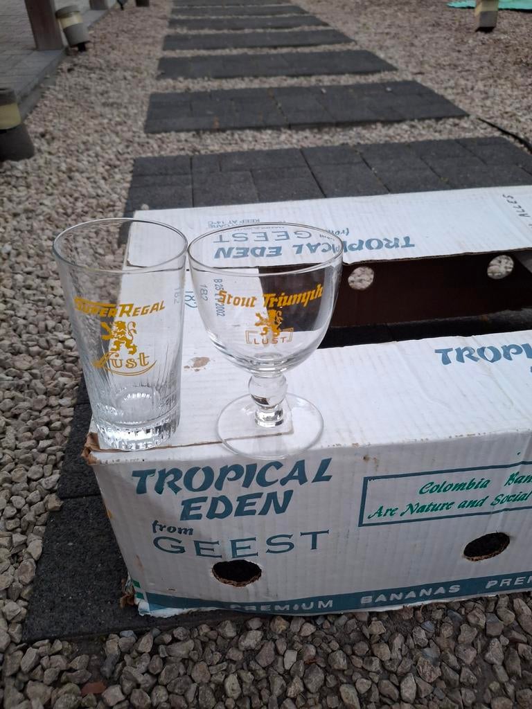 Oude bierglazen lust Kortrijk, Verzamelen, Ophalen of Verzenden