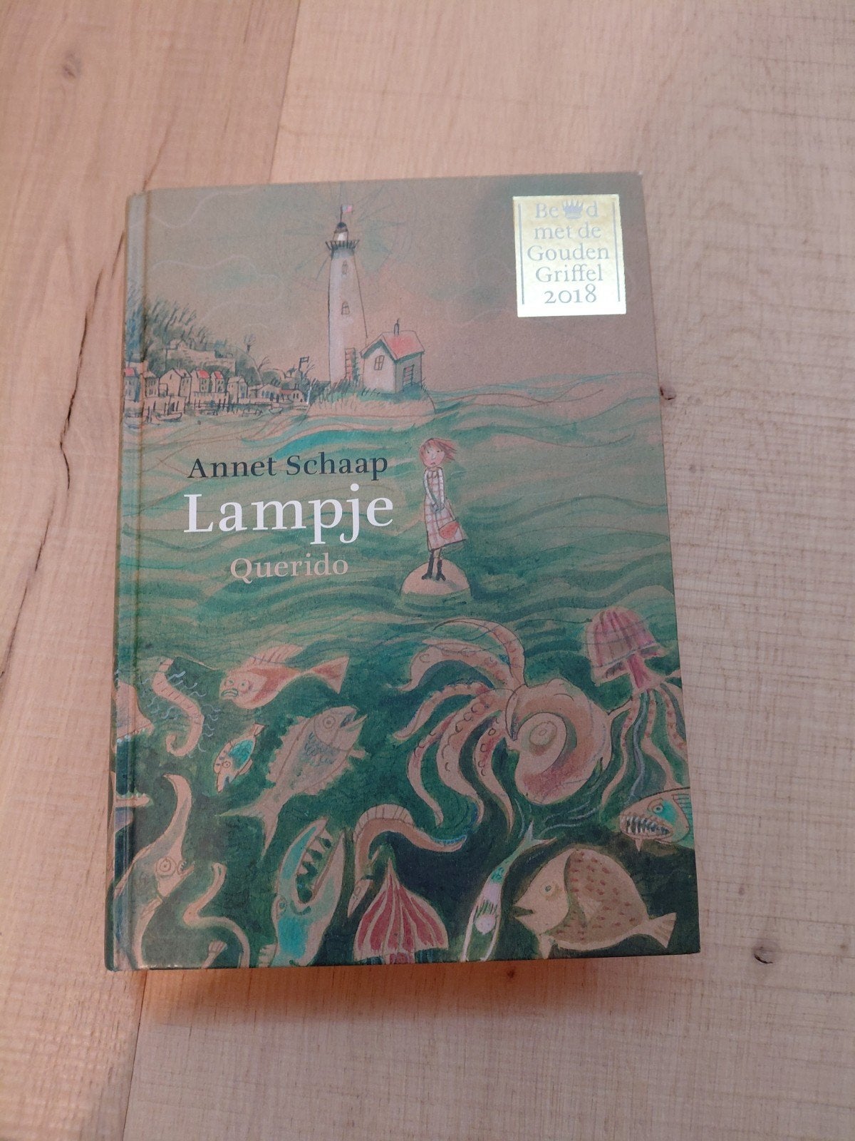 Lampje Annet Schaap, Enlèvement