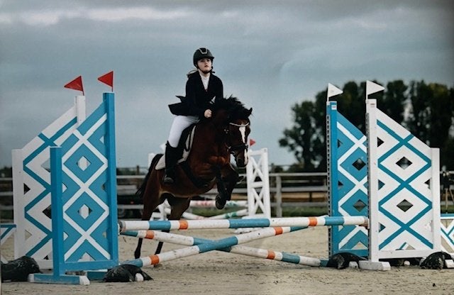 Sportieve C-pony merrie, Niet van toepassing, C pony (1.27m tot 1.37m), 11 jaar of ouder, Recreatiepony