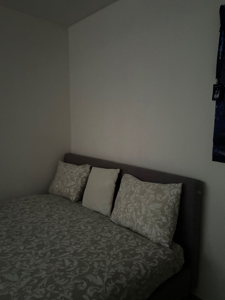 Bed, Gris, Tissu, 210 cm, Enlèvement