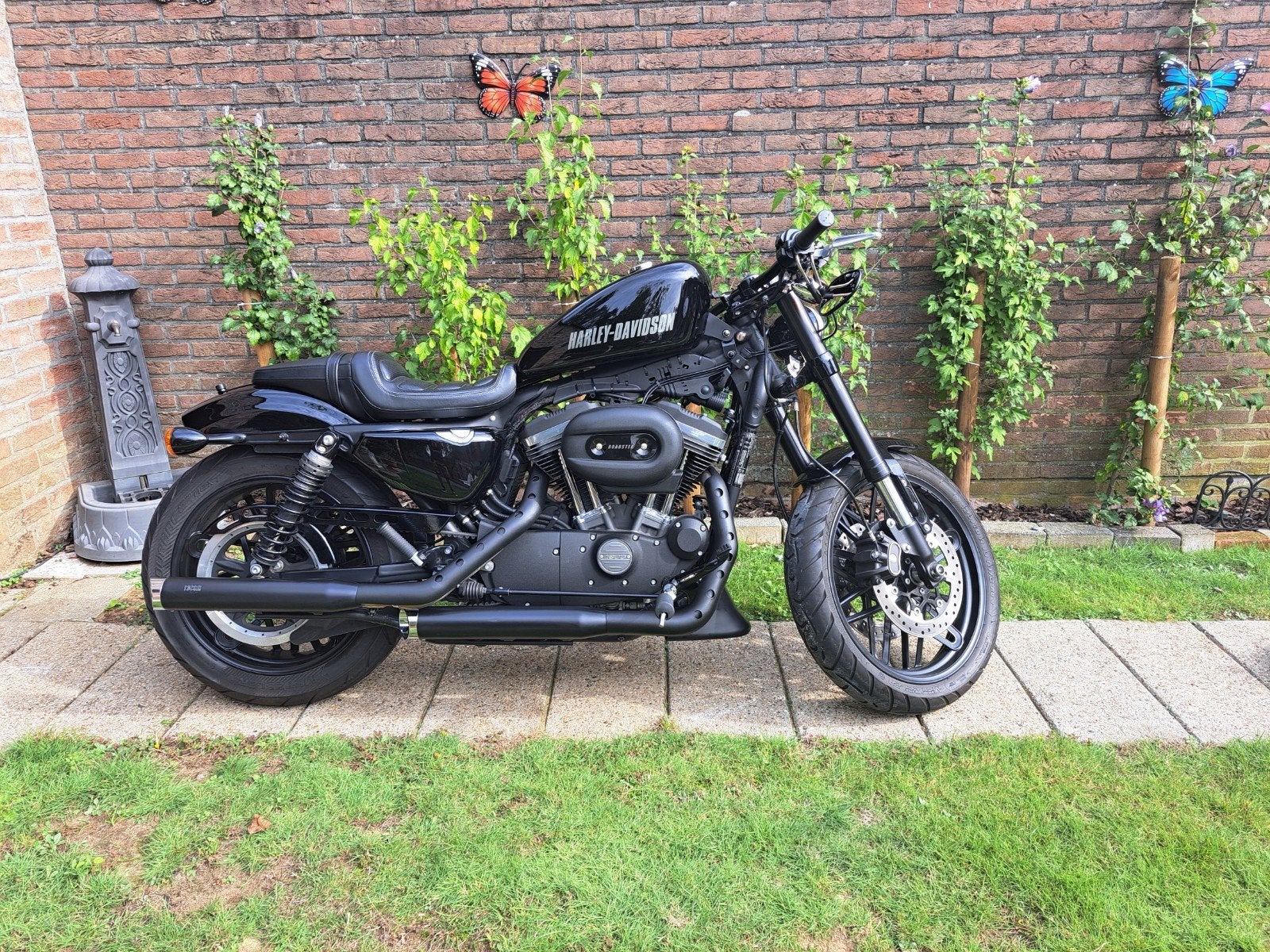 Harley davidson  Roadster 1200cc, Motoren, 2 cilinders, Sportuitlaat, Occasion, Motorrijbewijs A