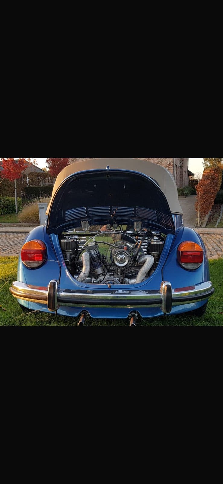 Vw cox, foto 3