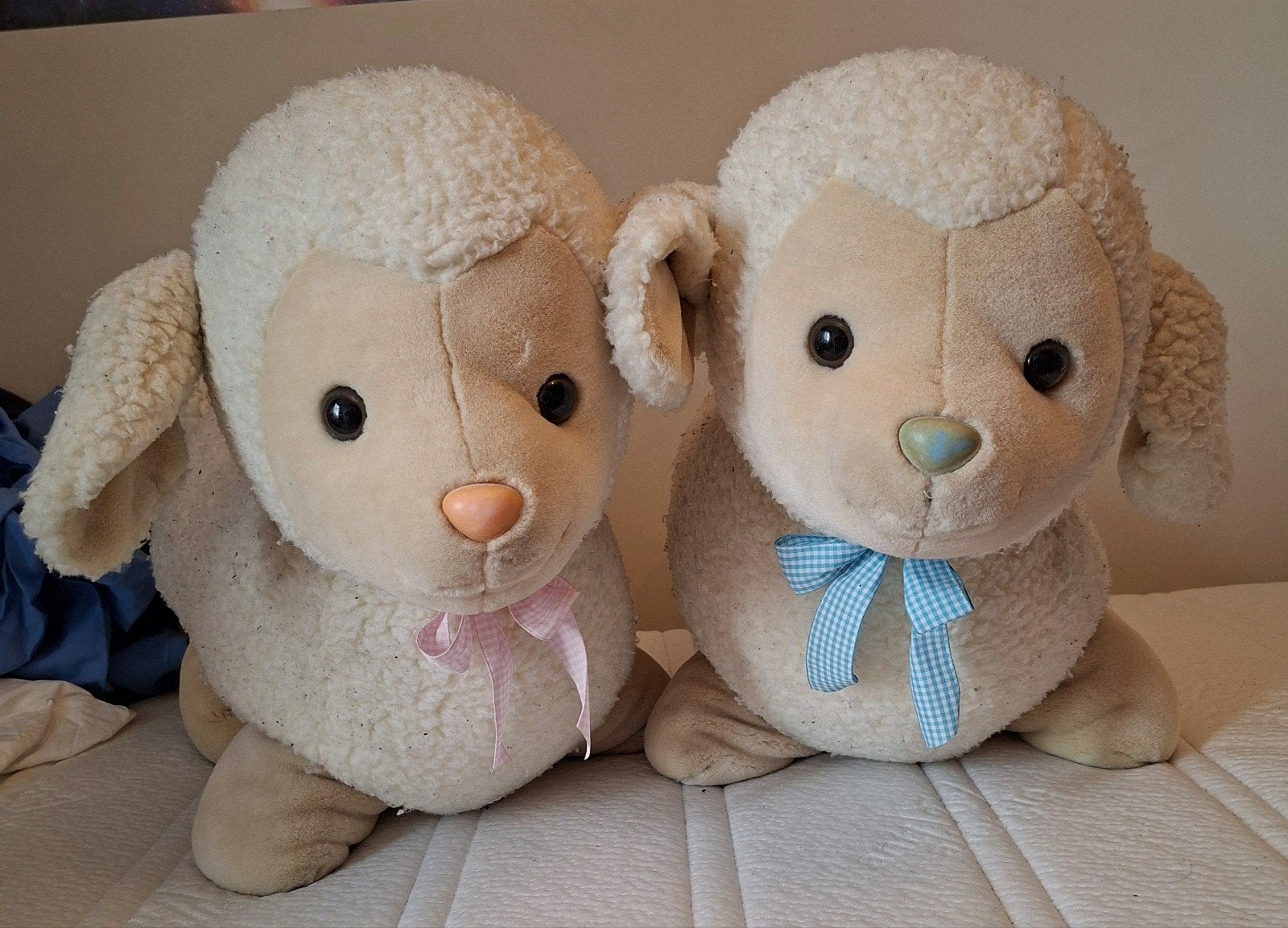 2 schaap knuffels, Kinderen en Baby's, Speelgoed | Knuffels en Pluche, Ophalen, Gebruikt