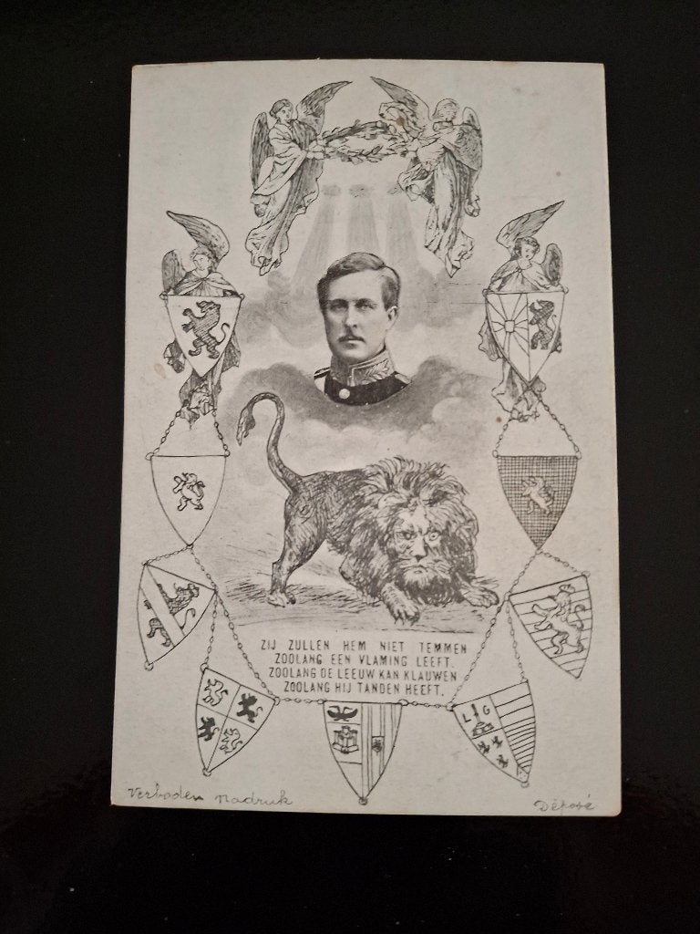 carte postale King Albert I, Collections, Envoi, Utilisé, Carte, Photo ou Gravure