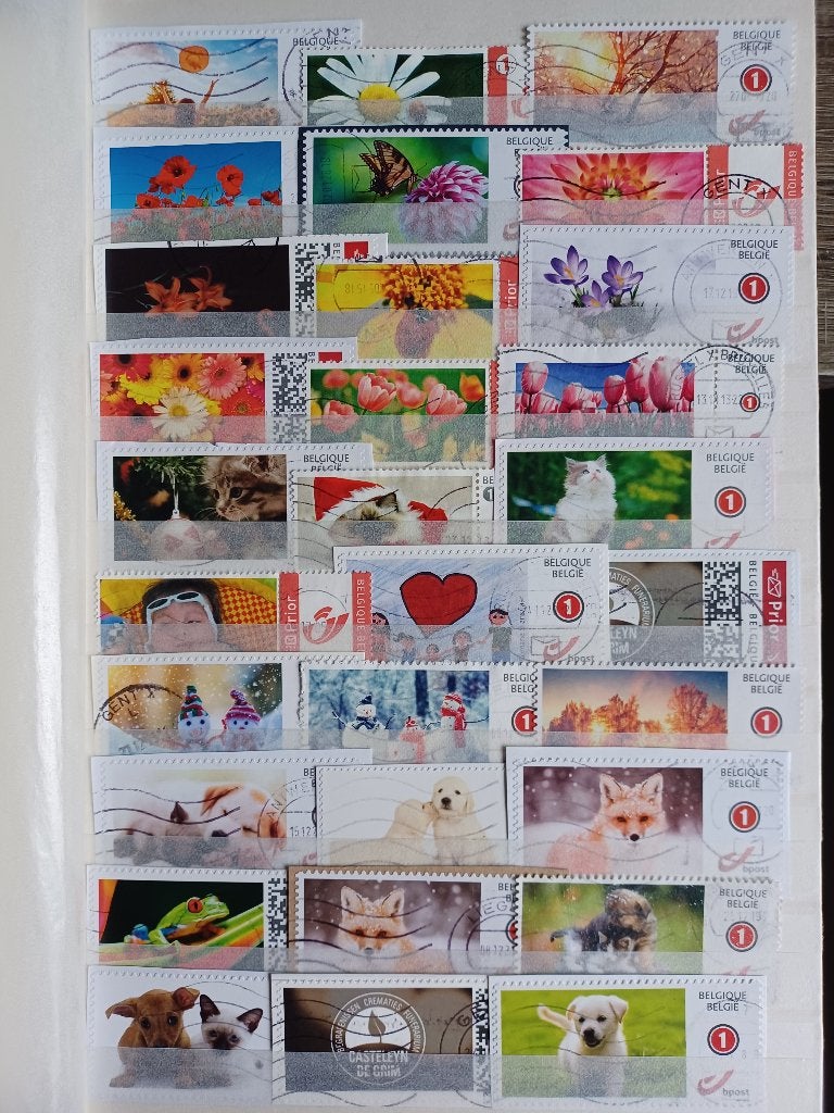 Collection philatélique belge Duo/My-Stamps, Enlèvement ou Envoi