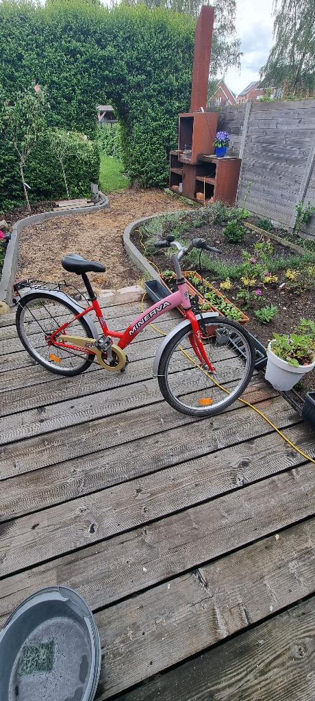 Meisjesfiets, Ophalen, Gebruikt, Terugtraprem
