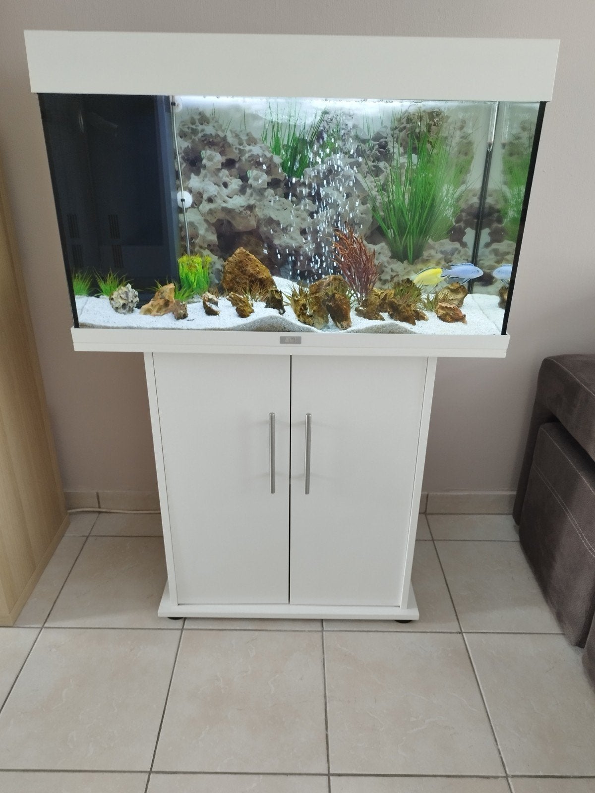 aquarium juwel prix a disc, Dieren en Toebehoren, Vissen | Aquaria en Toebehoren, Ophalen, Pomp, Nieuw, Juwel