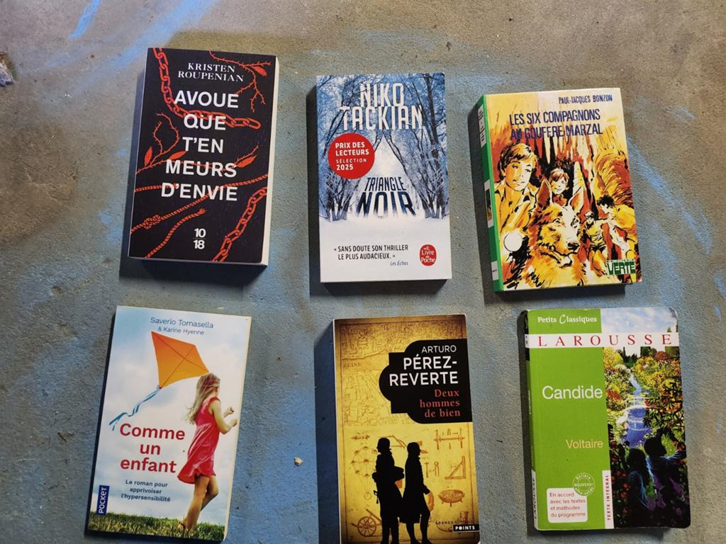 Lot de 6 romans, CD & DVD, Enlèvement ou Envoi
