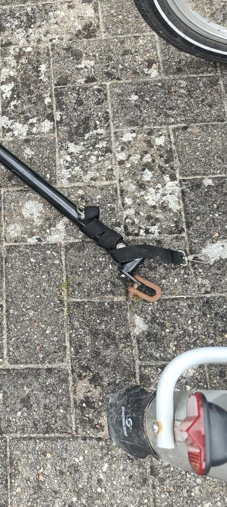 Fietskar hond, Ophalen, Zo goed als nieuw, 40 tot 60 kg, Opvouwbaar