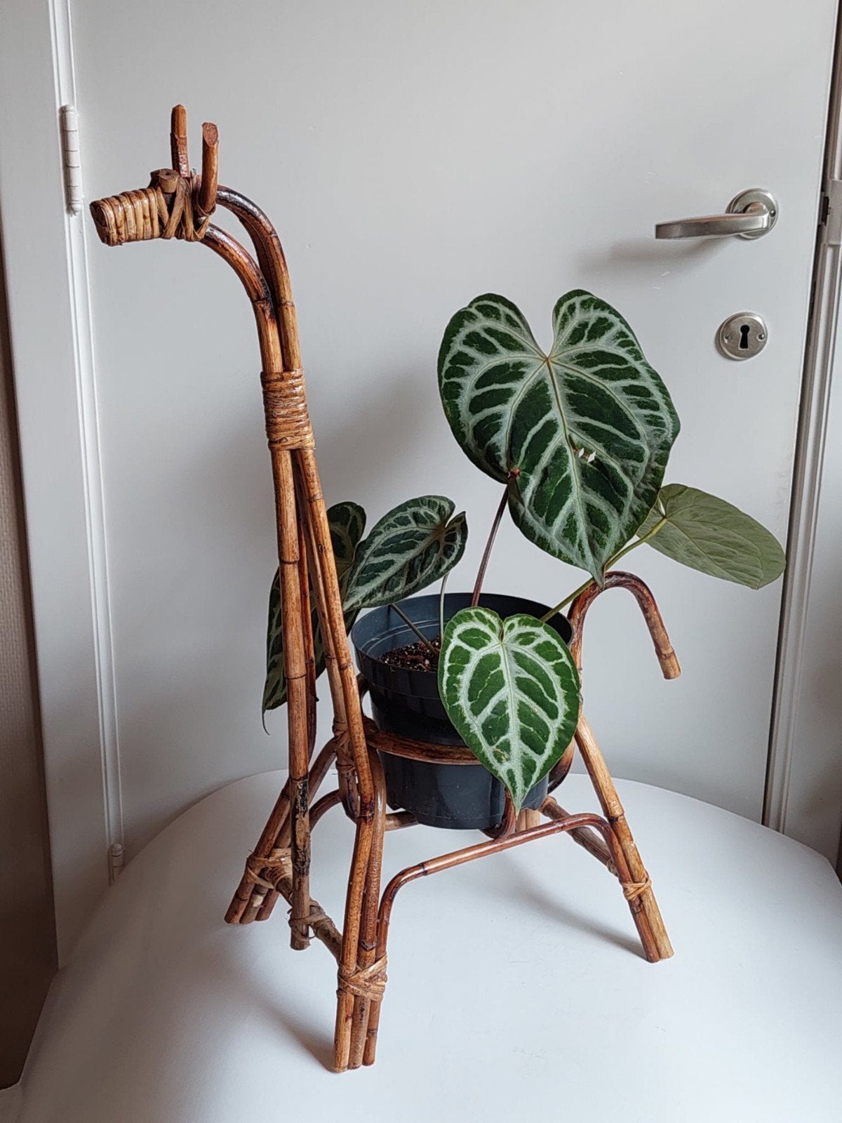 Retro rotan/rieten giraffe plantenstaander/bloempot, Ophalen