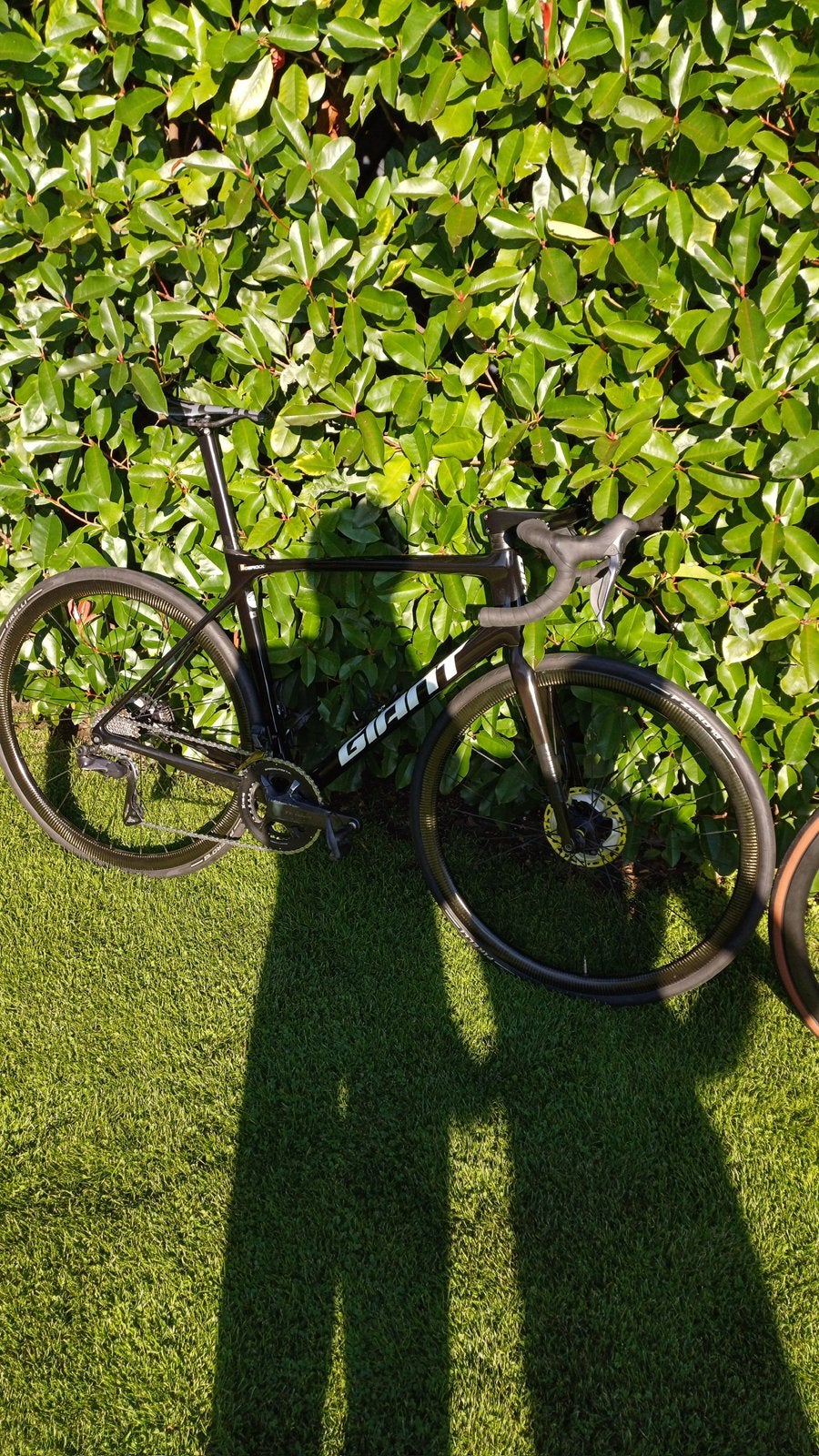 TCR giant, Giant, Enlèvement, 28 pouces, Plus de 20 vitesses