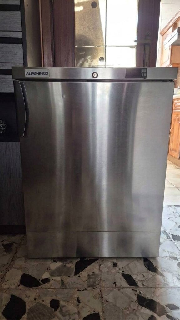 Mini Congélateur Pro Inox Alpeninox / Electrolux (2017), Congélateur, 85 à 120 cm, Enlèvement, Utilisé