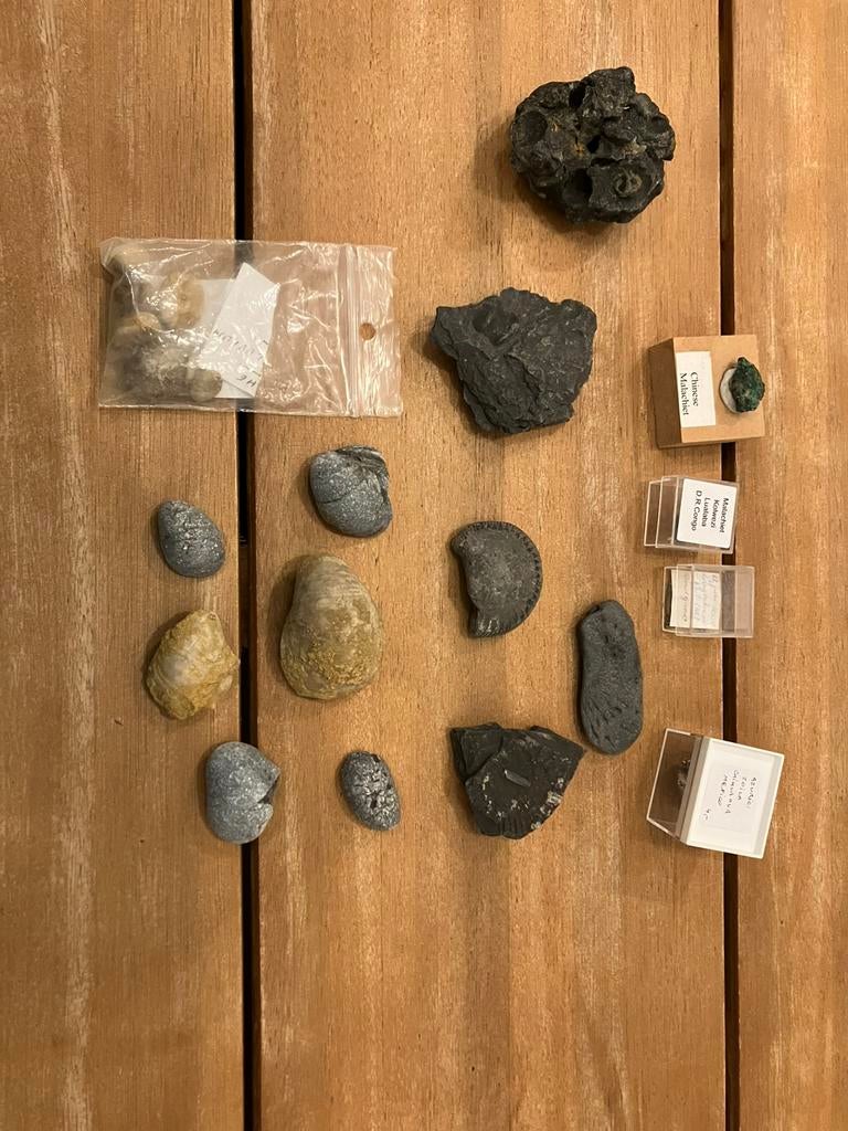 Lot fossielen te koop, Ophalen