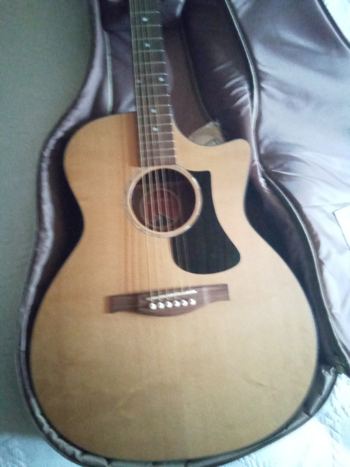 eastman  pch1-gace, fishman volume en tone versterkt, Muziek en Instrumenten, Ophalen, Nieuw, Western- of Steelstringgitaar, Met (piezo-)element