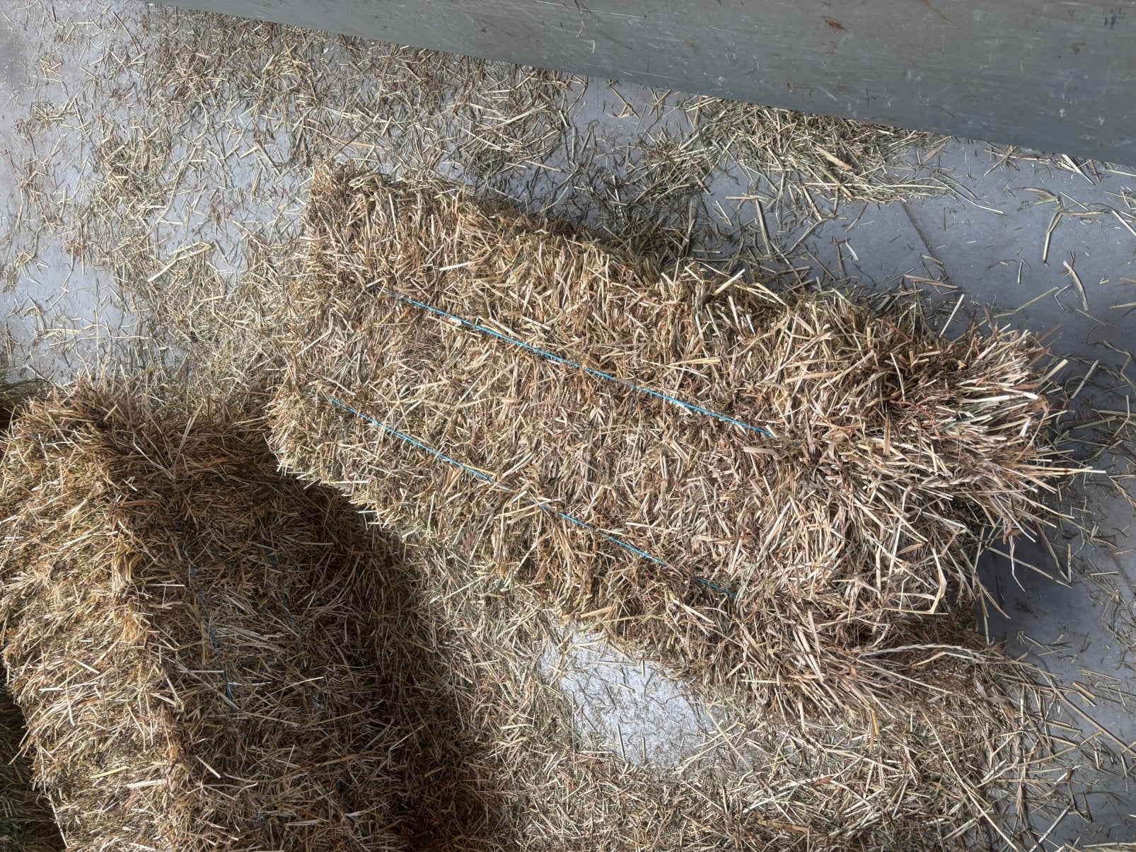 Kleine balen weide hooi, Dieren en Toebehoren, Ophalen of Verzenden, Vee