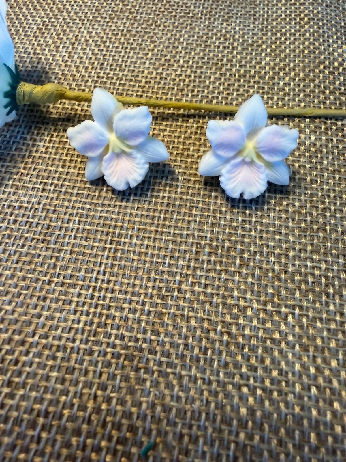 Foamklei oorbellen, Handtassen en Accessoires, Oorbellen, Overige materialen, Wit, Nieuw, Ophalen of Verzenden