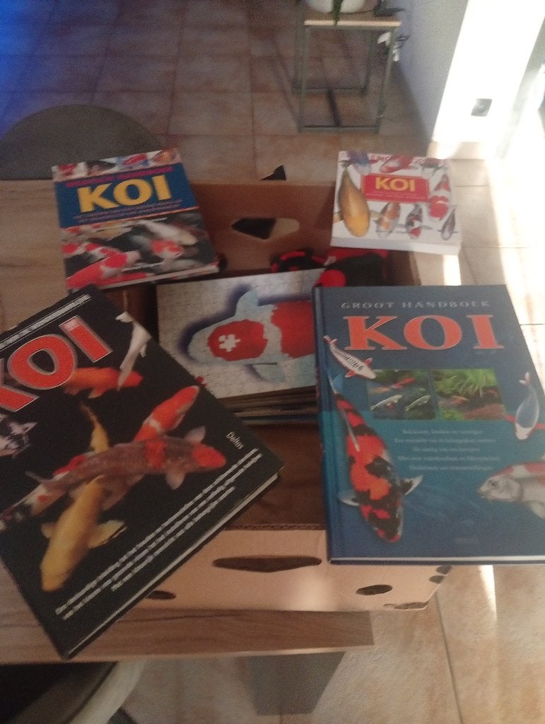 Koi boeken, Animaux & Accessoires, Poissons | Poissons d'étang