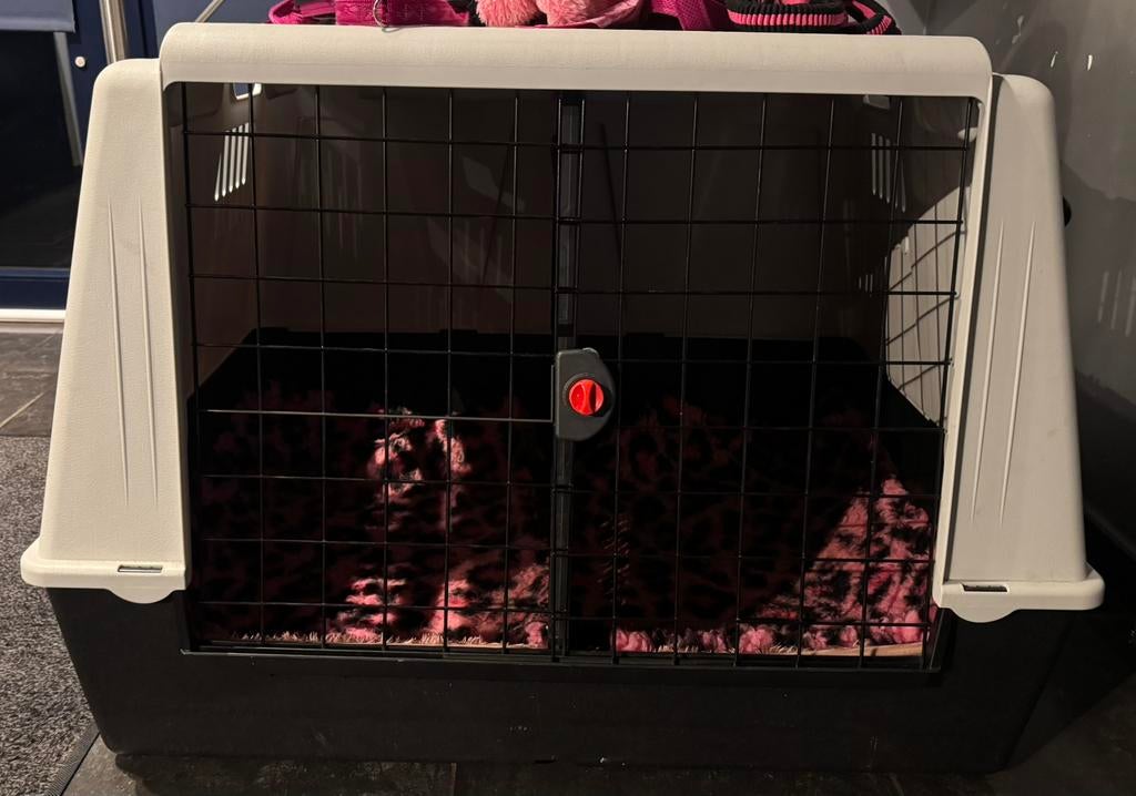 Cage de transport, Animaux & Accessoires, Enlèvement, Comme neuf