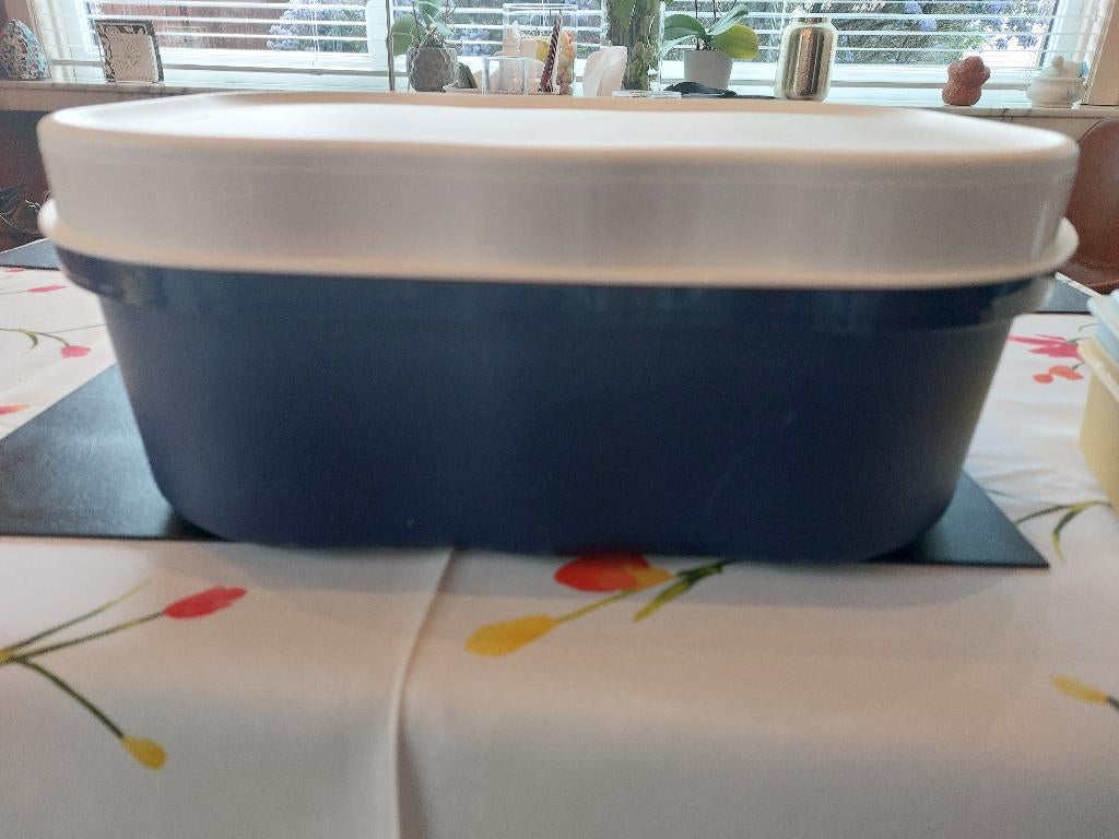 Tupperware brooddoos en botervlootje, Huis en Inrichting, Ophalen, Zo goed als nieuw, Blauw, Bus of Trommel
