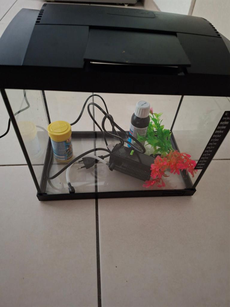 Aquarium complet, Animaux & Accessoires, Poissons | Aquariums & Accessoires, Enlèvement