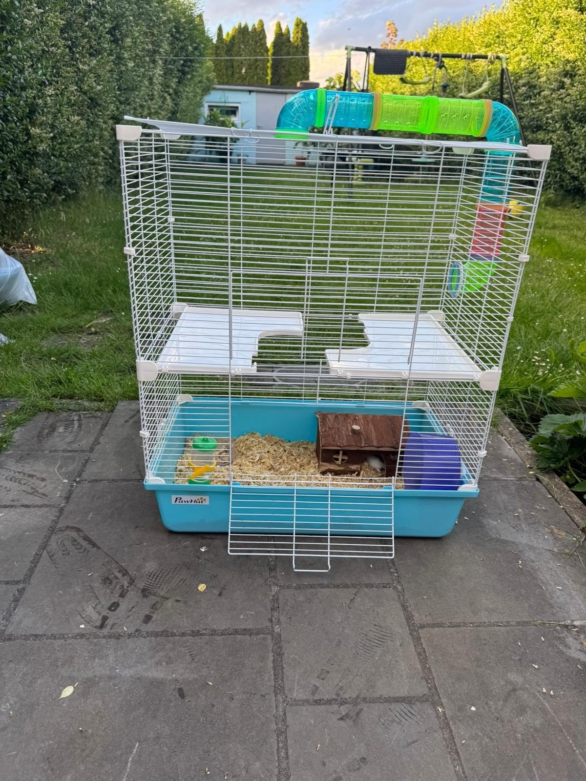 Cage  d'hamester, Enlèvement, Cage, Hamster