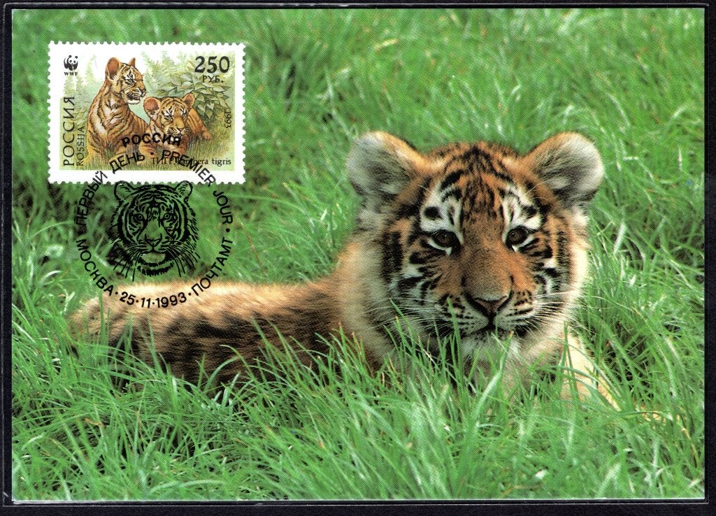 RUSLAND Yt. 6031 FDC WWF 1993, Postzegels en Munten, Verzenden, Overige landen, Gestempeld