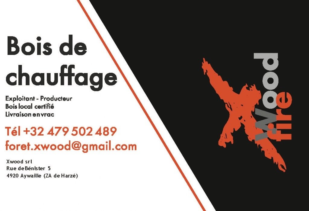 bois de chauffage, Enlèvement, Hêtre, Bûches