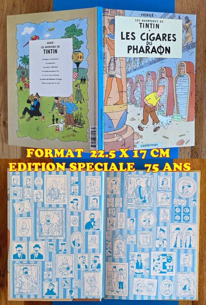 TINTIN 2004 SERIE COLLECTOR 75 ANS, Enlèvement ou Envoi