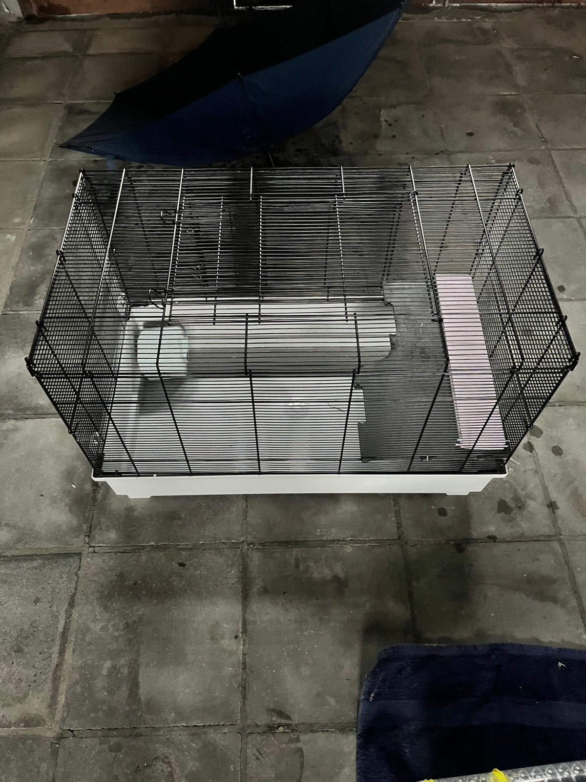 Hamster kooi 70x50 cm, Animaux & Accessoires, Rongeurs & Lapins | Cages & Clapiers, Enlèvement, Comme neuf, Cage, Hamster