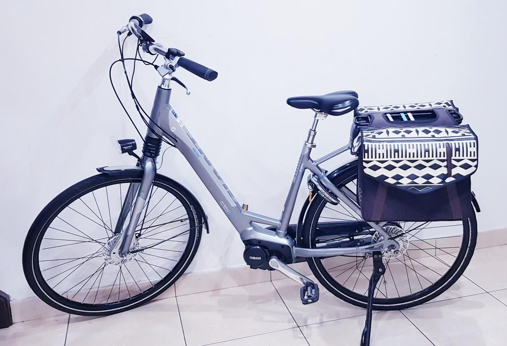 Vélo électrique à moteur central avec une très bonne batteri, Enlèvement, Giant