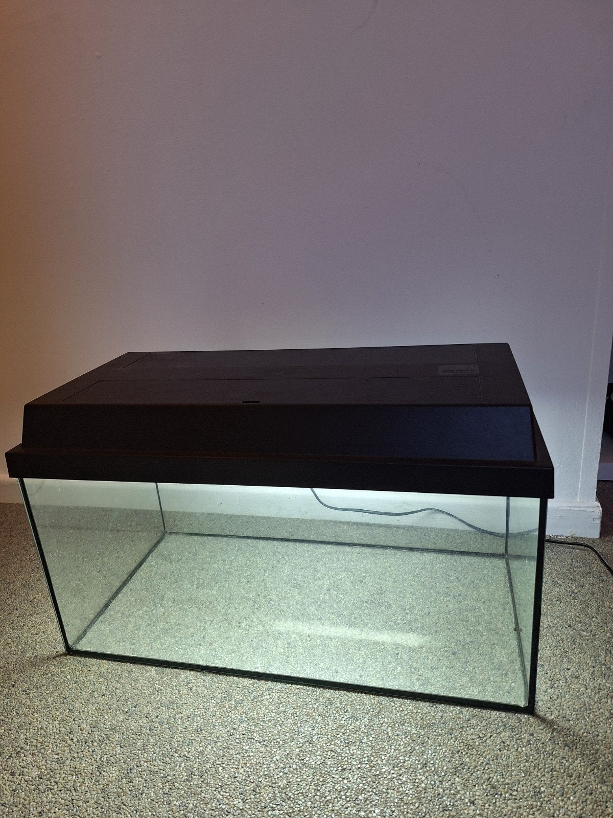 Aquarium juwel, Animaux & Accessoires, Enlèvement