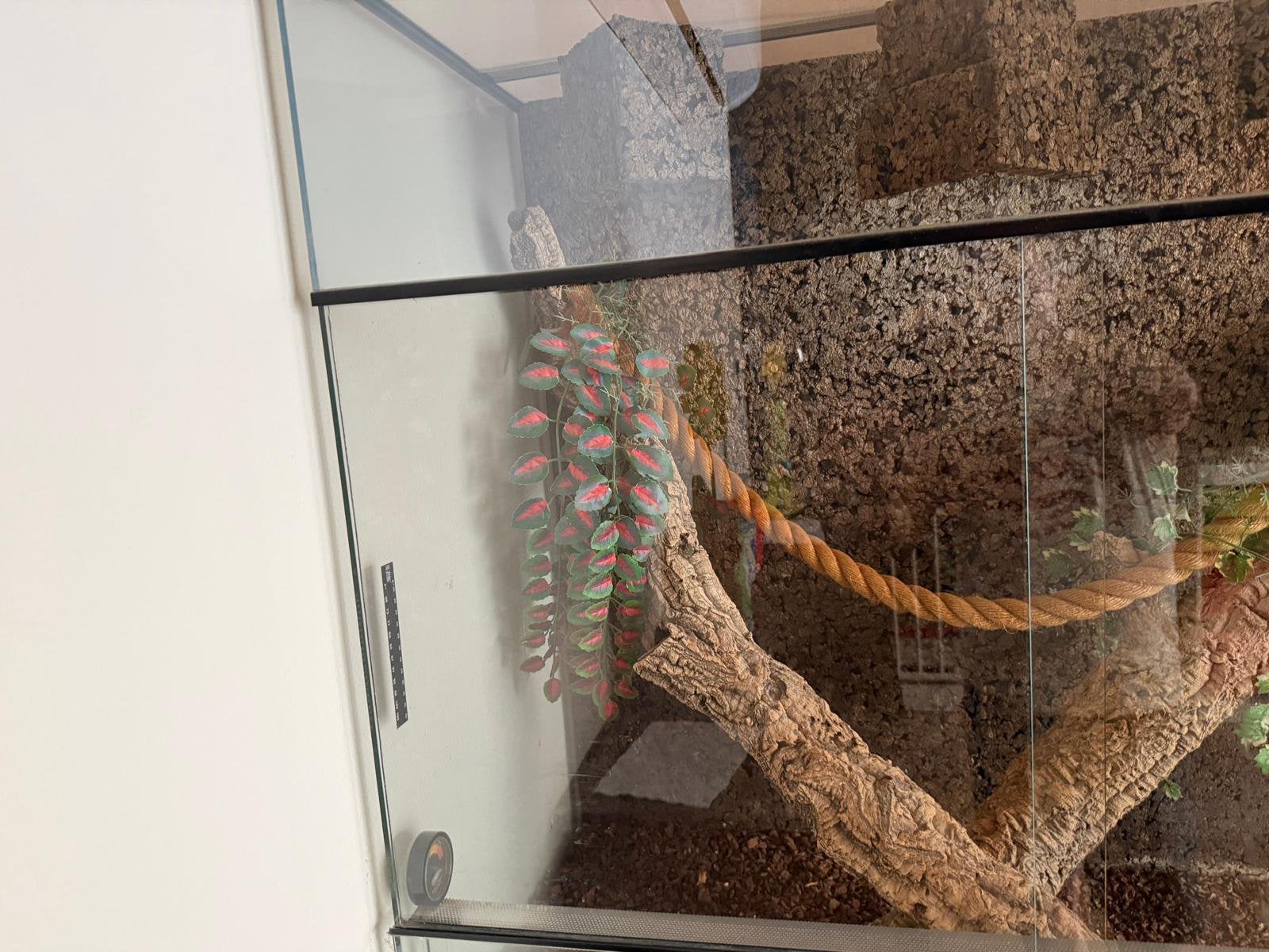 Terrarium, Dieren en Toebehoren, Ophalen, Zo goed als nieuw, Terrarium of Paludarium