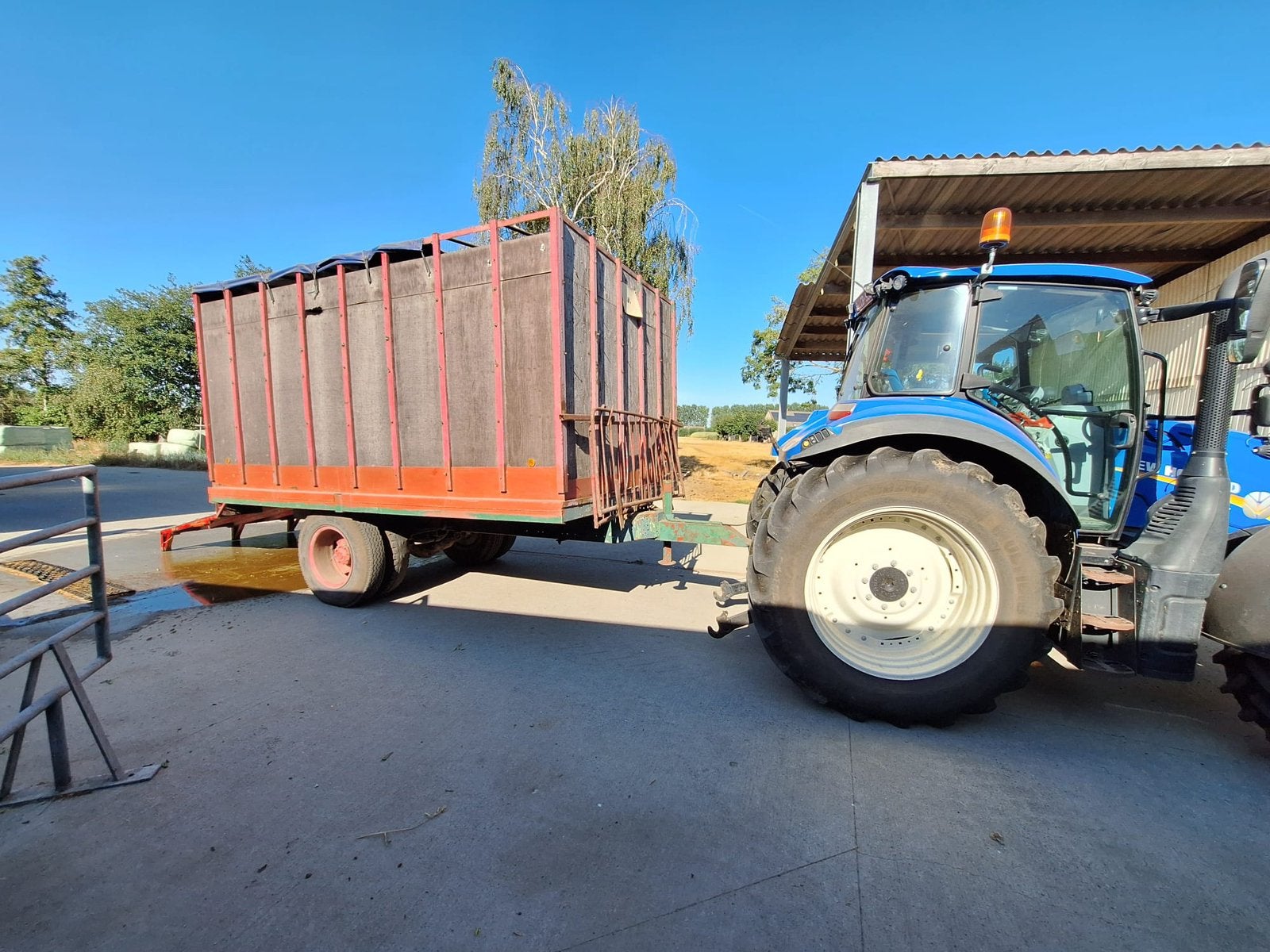 STEVIGE VEEWAGEN / BEESTENKAR – 6 GROTE KOEIEN, Ophalen, Veehouderij, Transport