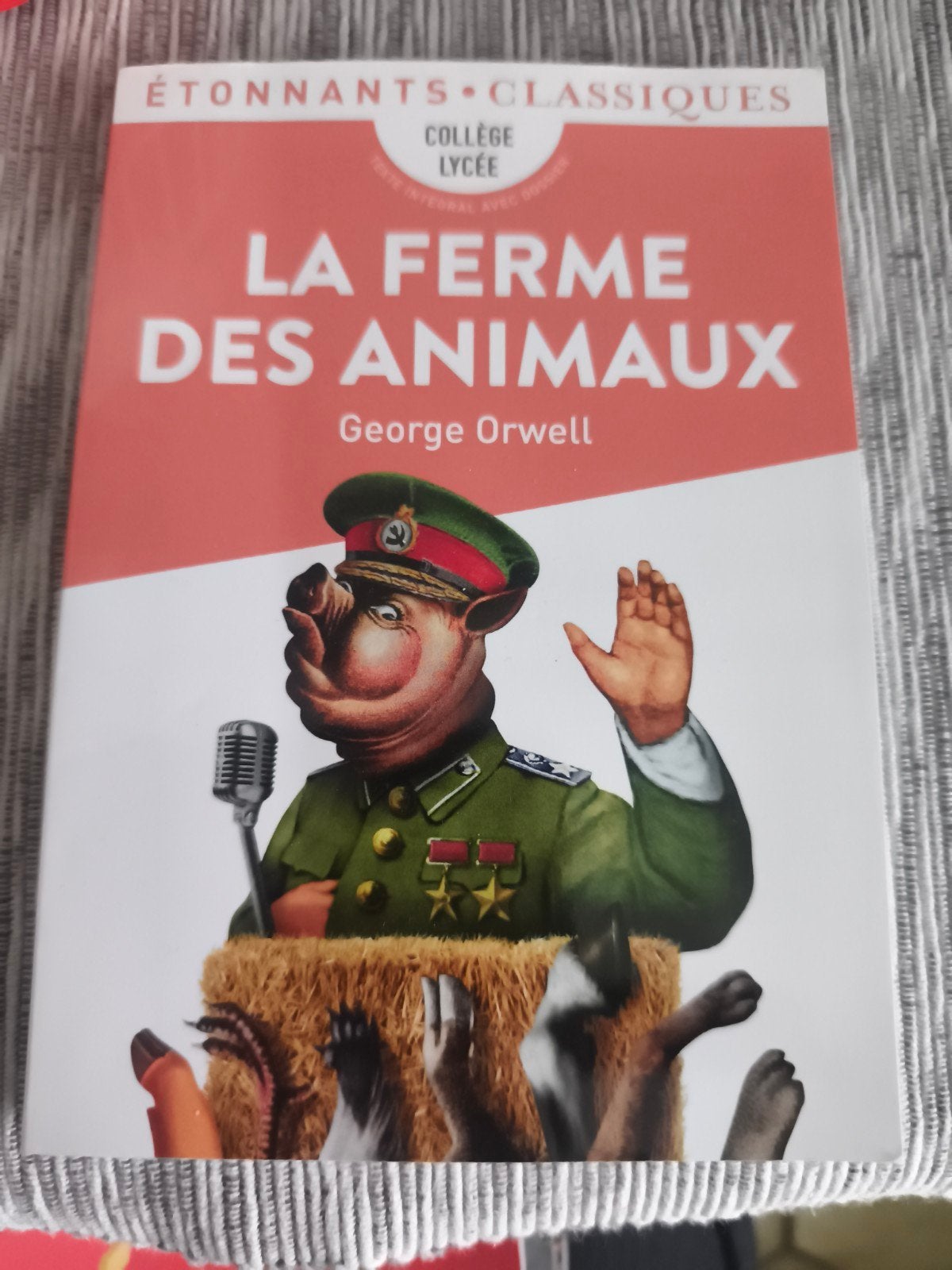George Orwell - 9782081521490, Livres, Enlèvement ou Envoi, George Orwell