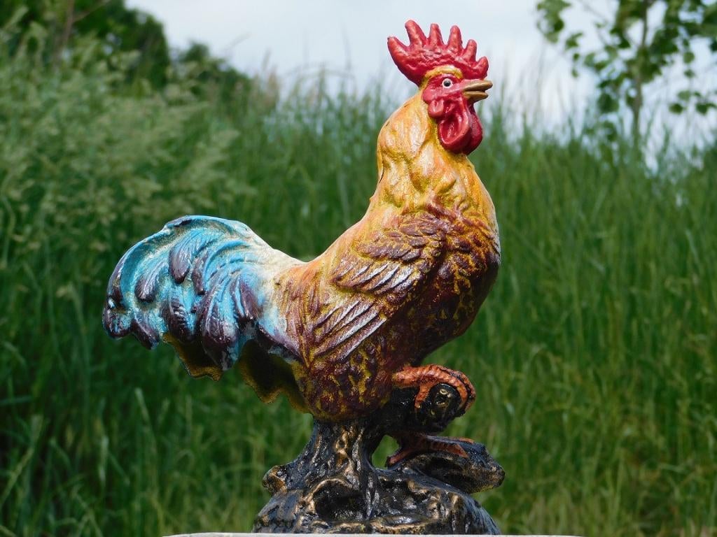 Beeld Haan in Kleur - Gietijzer, Tuin en Terras, Tuinbeelden, Ophalen of Verzenden, Metaal, Dierenbeeld