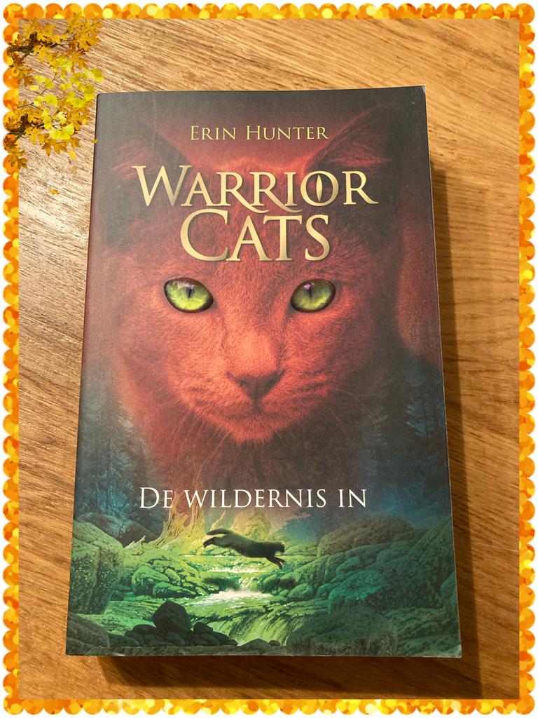 Erin Hunter - De wildernis in, Boeken, Ophalen of Verzenden, Erin Hunter
