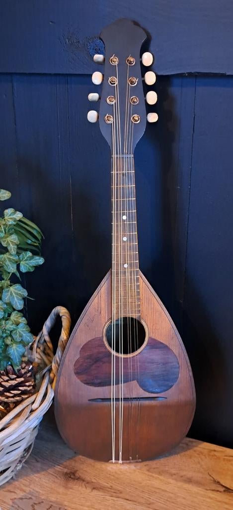 Mandoline Napolitaine Fratelli Umberto, Musique & Instruments, Instruments à corde | Mandolines, Enlèvement, Utilisé