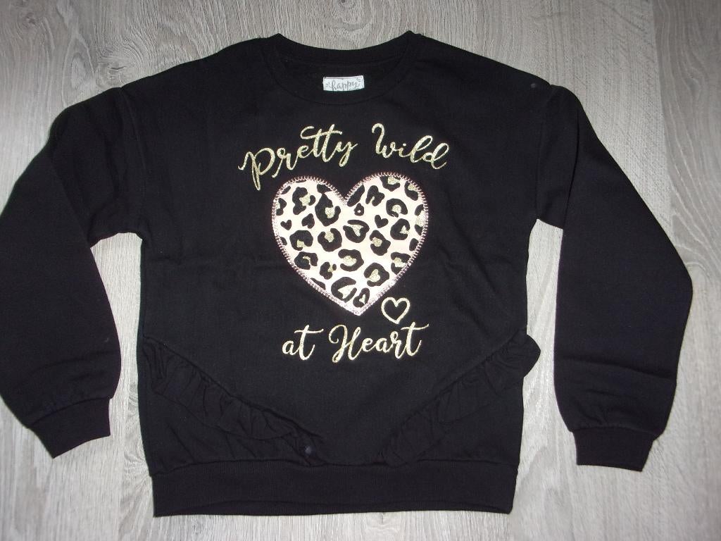 SPLINTERNIEUWE meisjes trui. Maat 140, Kinderen en Baby's, Kinderkleding | Maat 140, C&A, Meisje, Trui of Vest, Nieuw