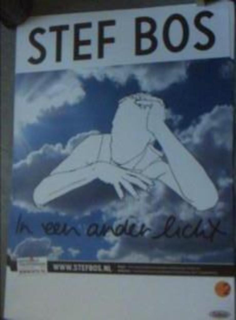 affiche/poster - Stef Bos - in een ander licht (42 x 60 cm), Ophalen of Verzenden, Nieuw