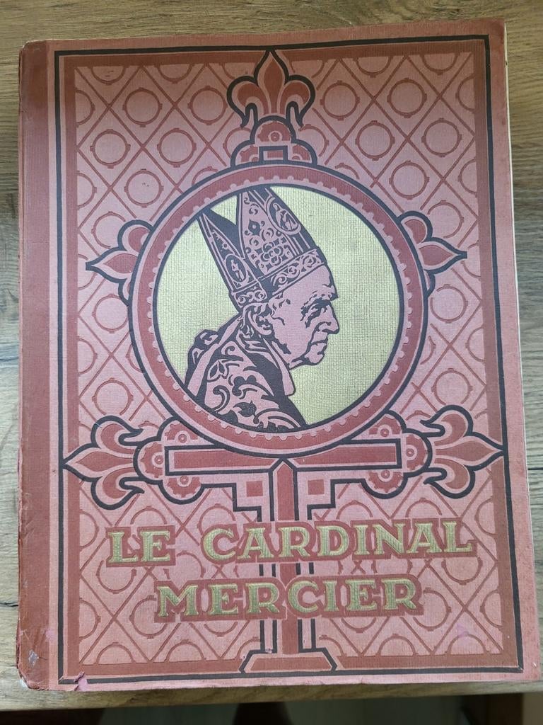 Le Cardinal Mercier, Livres, Enlèvement ou Envoi, Utilisé